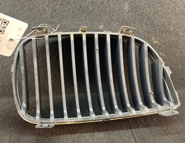 Radiateurgrille BMW 1 (E87), BMW 1 (E81)