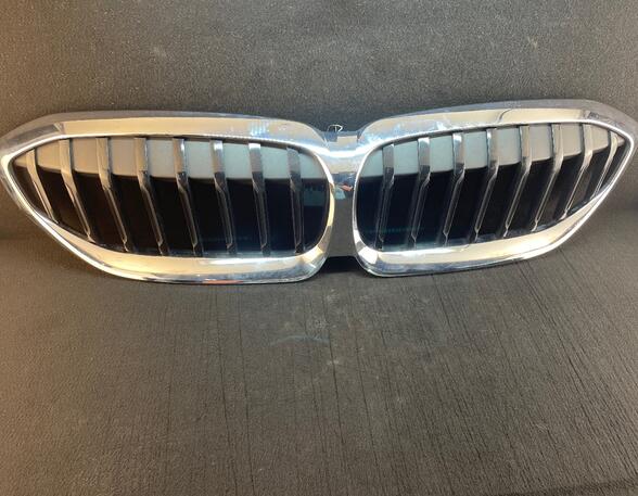 Radiator Grille BMW 3 (G20, G80)