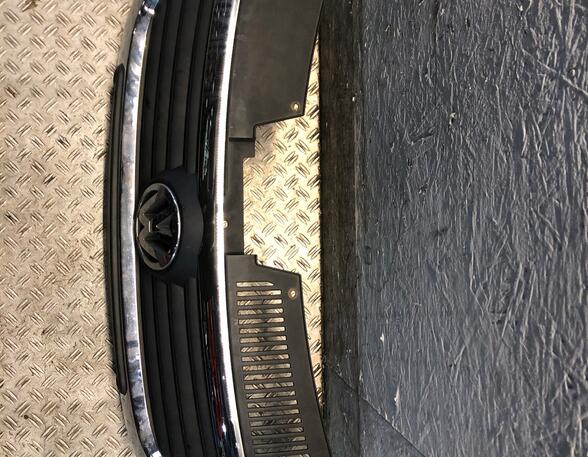 Radiateurgrille VW PASSAT (3C2), VW PASSAT (362)