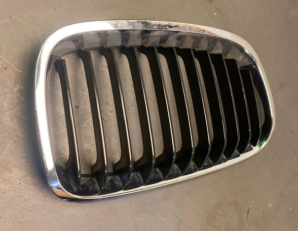 Radiator Grille BMW 1 (F20), BMW 1 (F21)