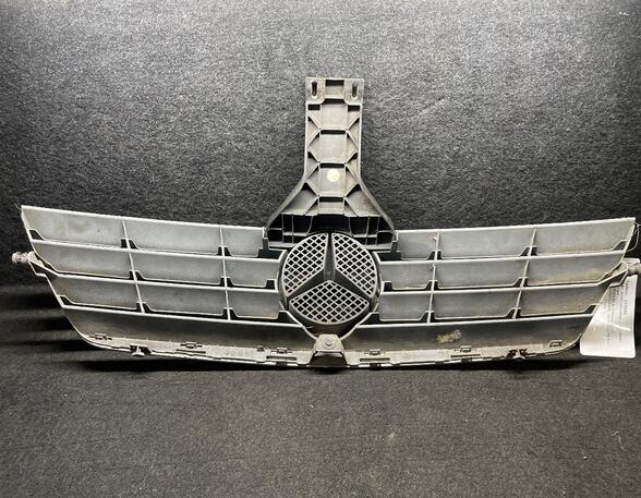 Radiator Grille MERCEDES-BENZ C-CLASS (W203)