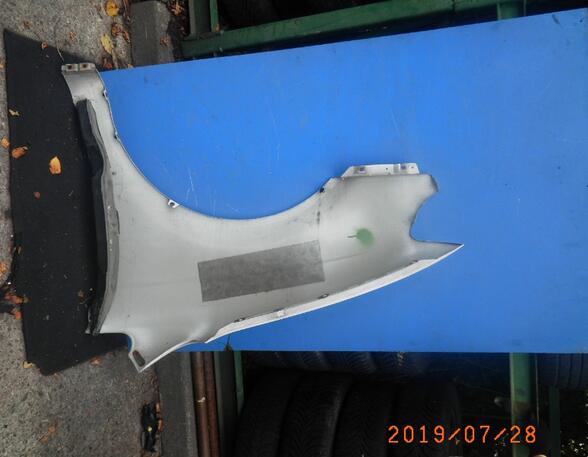 Spatbord HYUNDAI Trajet (FO)