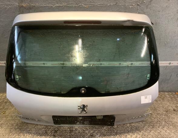 Rear Door PEUGEOT 206+ (2L, 2M)