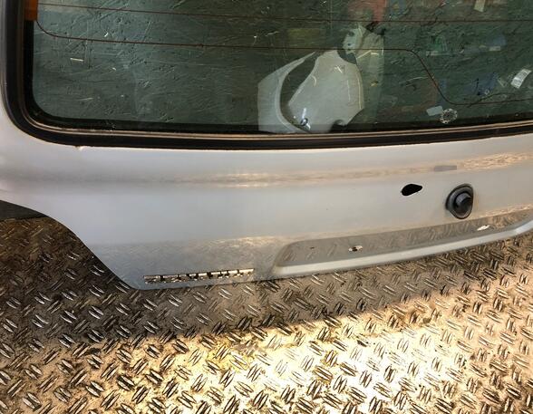 Rear Door RENAULT TWINGO I (C06_)