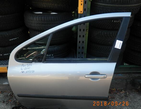 Door PEUGEOT 307 (3A/C)