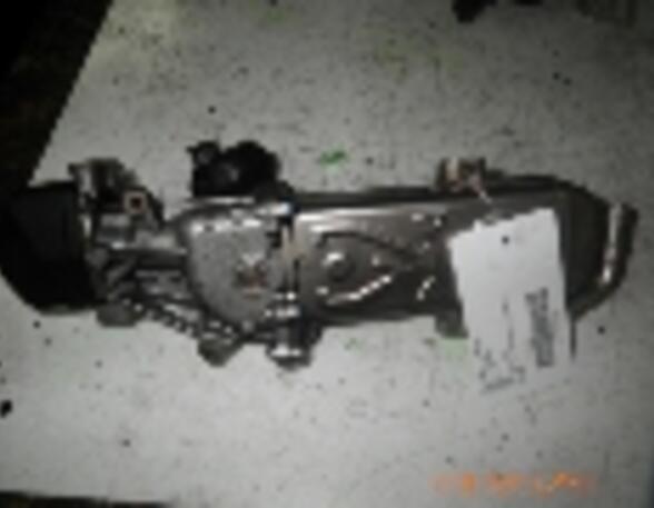 EGR Valve VW Golf Plus (521, 5M1)