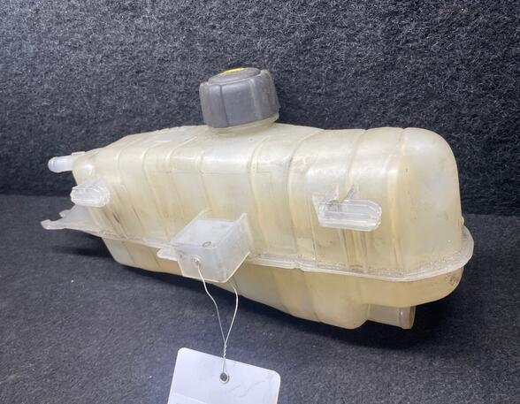 Coolant Expansion Tank RENAULT CLIO III (BR0/1, CR0/1), RENAULT CLIO IV (BH_)