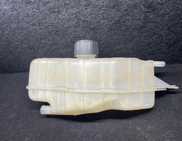 Coolant Expansion Tank RENAULT CLIO III (BR0/1, CR0/1), RENAULT CLIO IV (BH_)