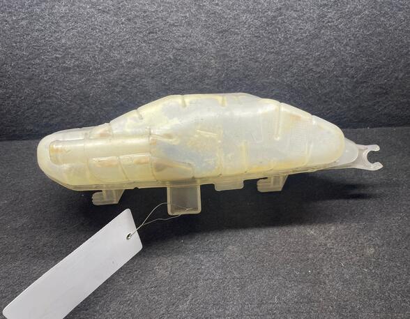 Coolant Expansion Tank RENAULT CLIO III (BR0/1, CR0/1), RENAULT CLIO IV (BH_)