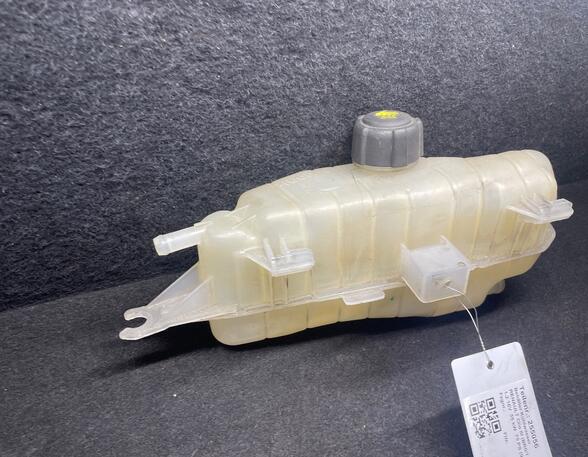 Coolant Expansion Tank RENAULT CLIO III (BR0/1, CR0/1), RENAULT CLIO IV (BH_)