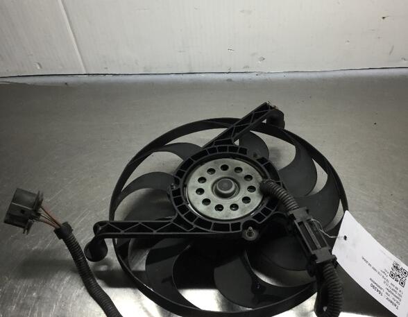 Radiator Electric Fan  Motor VW Golf IV (1J1)