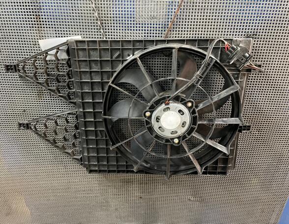 Elektrische motor radiateurventilator VW POLO (6R1, 6C1), VW POLO Van (6R)