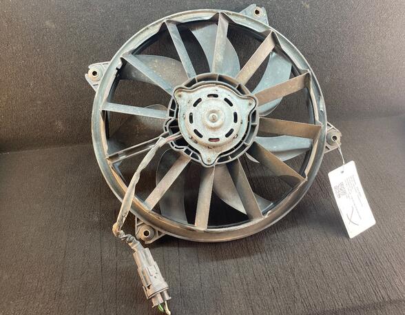 Radiator Electric Fan  Motor PEUGEOT 307 (3A/C)