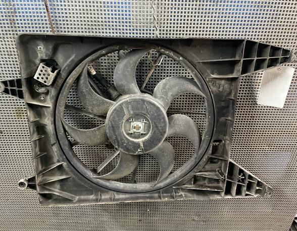 Radiator Electric Fan  Motor DACIA LOGAN (LS_)