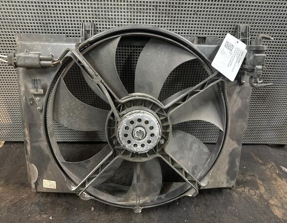 Radiator Electric Fan  Motor MERCEDES-BENZ C-CLASS (W202)