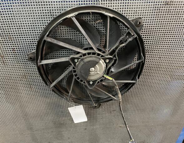 Radiator Electric Fan  Motor PEUGEOT 206+ (2L_, 2M_)