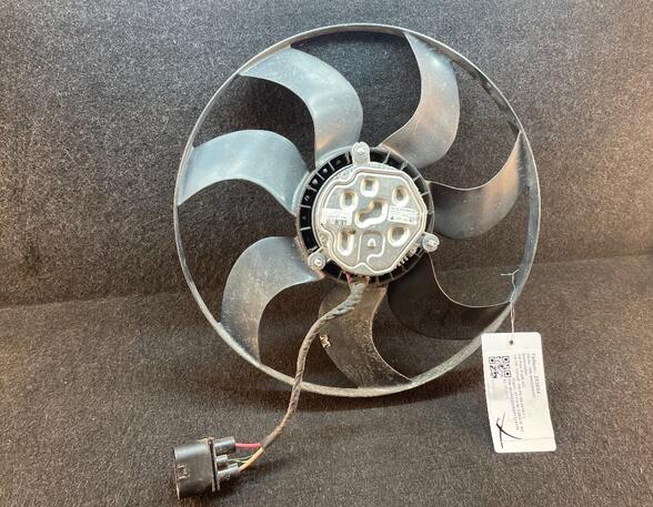 Radiator Electric Fan  Motor VW POLO (6R1, 6C1)