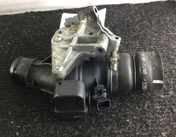 Throttle Body PEUGEOT 207 (WA, WC)