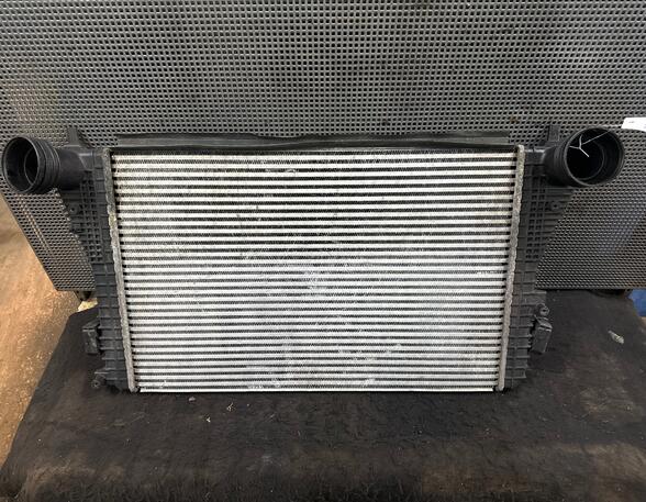 Intercooler VW GOLF PLUS (5M1, 521)