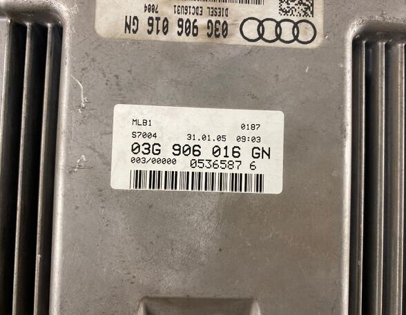 Engine Management Control Unit AUDI A4 (8EC, B7)