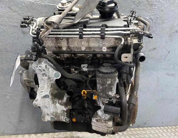 221795 Motor ohne Anbauteile VW Passat B6 (3C2) BKC