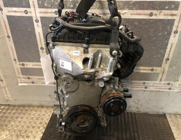 Motor kaal FORD KA+ (FK, UK)