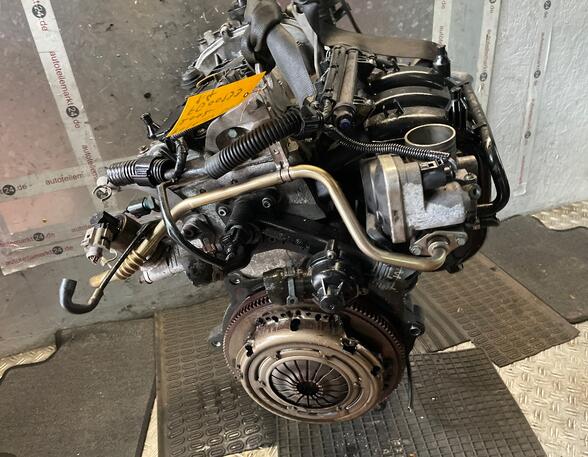 Motor kaal VW POLO (9N_)