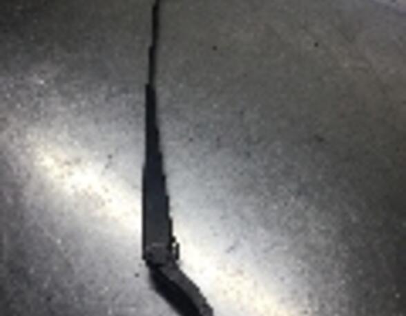 Wiper Arm RENAULT Twingo II (CN0)