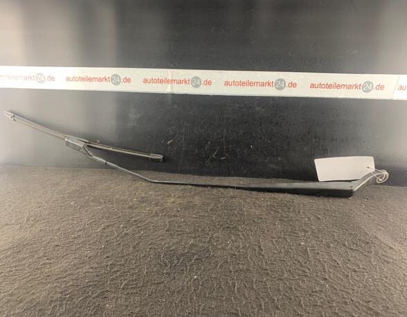 Wiper Arm RENAULT Twingo II (CN0)