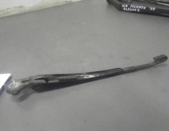 Wiper Arm VW GOLF IV (1J1)