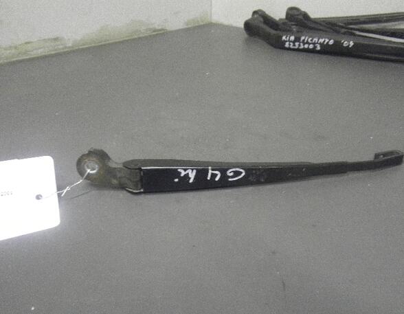 Wiper Arm VW GOLF IV (1J1)