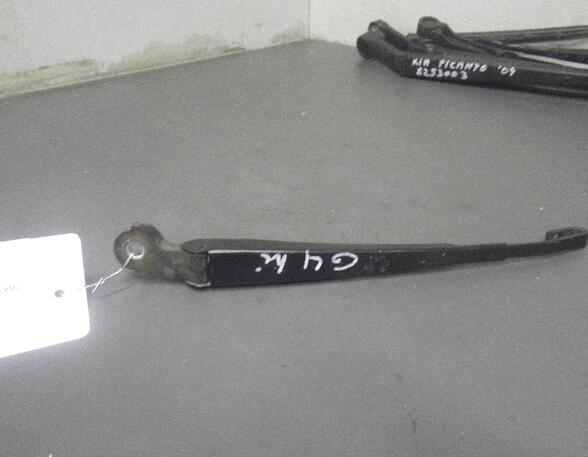 Wiper Arm VW GOLF IV (1J1)