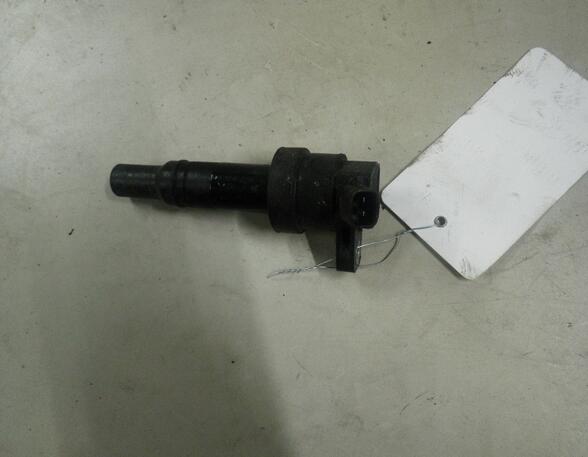 Ignition Coil HYUNDAI i10 (PA)