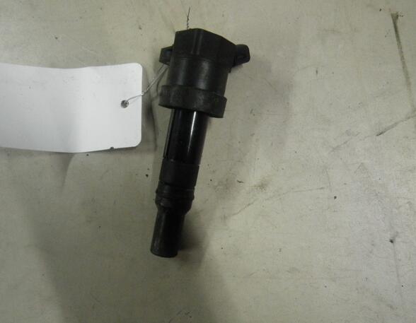 Ignition Coil HYUNDAI i10 (PA)