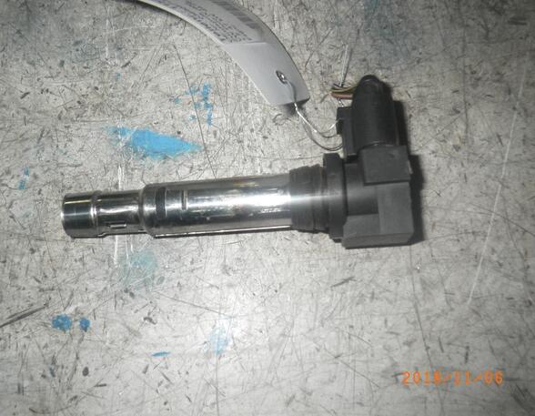 Ignition Coil VW Polo (9N)