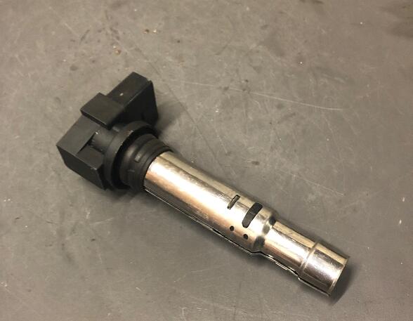 Ignition Coil VW Golf V (1K1)