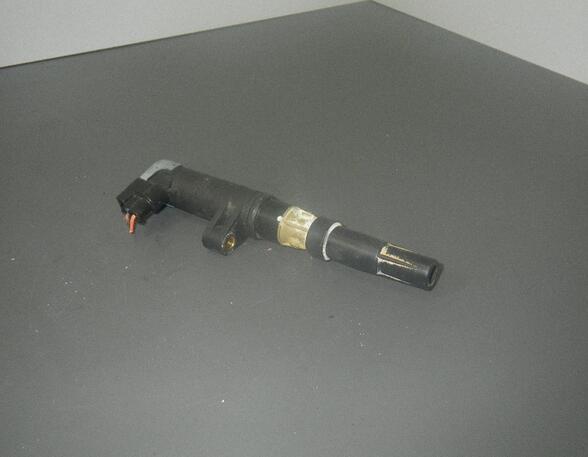 Ignition Coil RENAULT Megane Scenic (JA0/1)