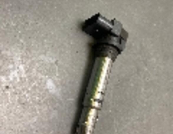 Ignition Coil VW Golf V (1K1)