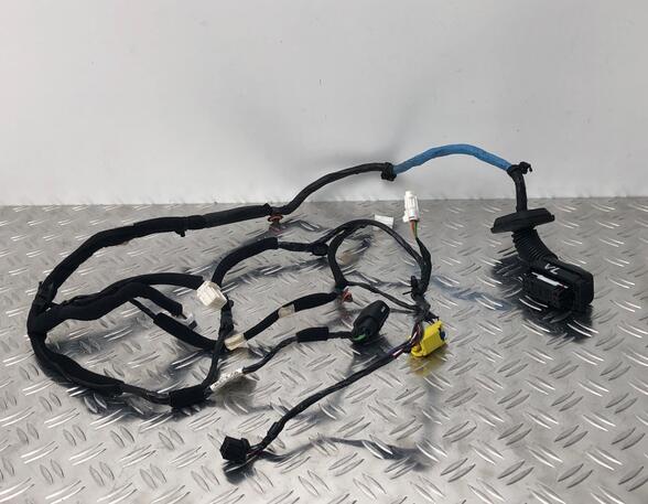 Wiring Harness HYUNDAI i20 (GB, IB), HYUNDAI i20 II Coupe (GB), HYUNDAI i20 ACTIVE (IB, GB)