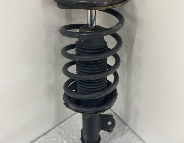 Shock Absorber HYUNDAI i10 (PA)