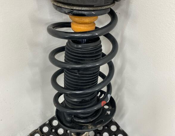 Shock Absorber SEAT ALTEA (5P1), SEAT ALTEA XL (5P5, 5P8)