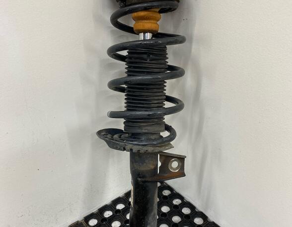 Shock Absorber SEAT ALTEA (5P1), SEAT ALTEA XL (5P5, 5P8)