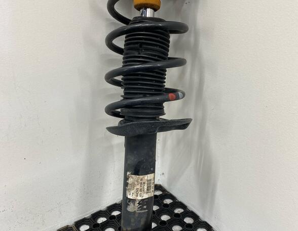 Shock Absorber SEAT ALTEA (5P1), SEAT ALTEA XL (5P5, 5P8)