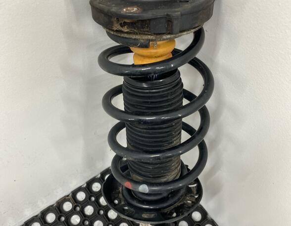 Shock Absorber SEAT ALTEA (5P1), SEAT ALTEA XL (5P5, 5P8)