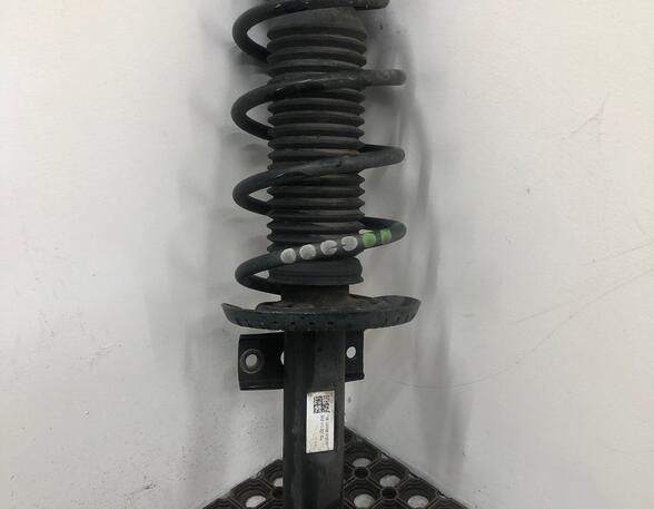 Shock Absorber SKODA FABIA III Estate (NJ5)