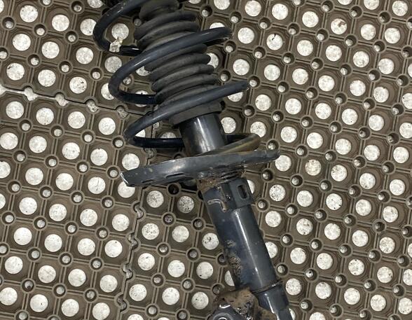 Shock Absorber RENAULT MEGANE III Grandtour (KZ0/1), RENAULT MEGANE III Coupe (DZ0/1_)