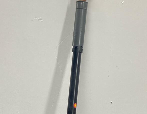 Shock Absorber FORD FIESTA VI (CB1, CCN)