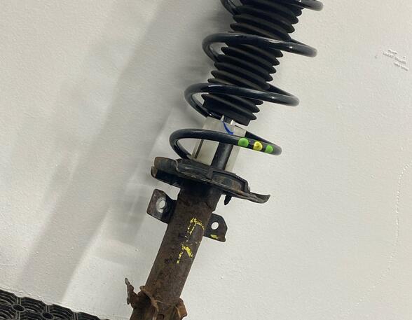 Shock Absorber FORD FIESTA VI (CB1, CCN)