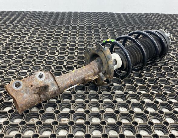 Shock Absorber FORD FIESTA VI (CB1, CCN)