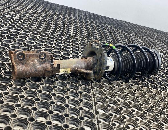 Shock Absorber FORD FIESTA VI (CB1, CCN)